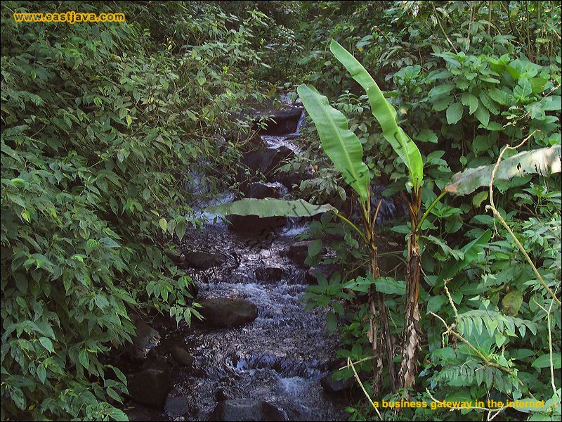 dlundung_waterfall_003